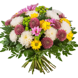 Chrysanthemums Selection