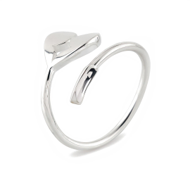 Hugging Key Silver Ring