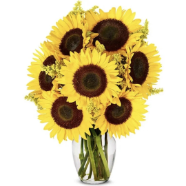 Sunflower Field Bouquet