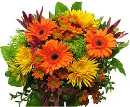 Emozione d’Autunno