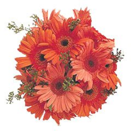 Principessa d’Arancio